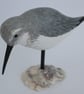Dunlin on oyster shell   - Image 1