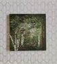 Silver Birches, Ancient Woodland in full leaf, original painting of trees - Image 1