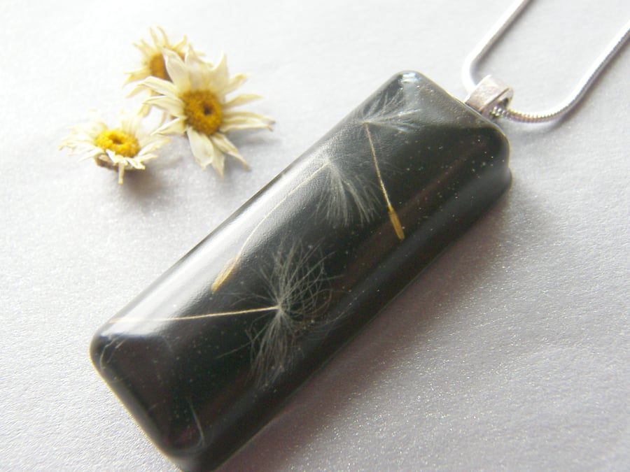 Dandelion Seeds in Black Resin Necklace Pendant - Nature Specimen - 3 Wishes