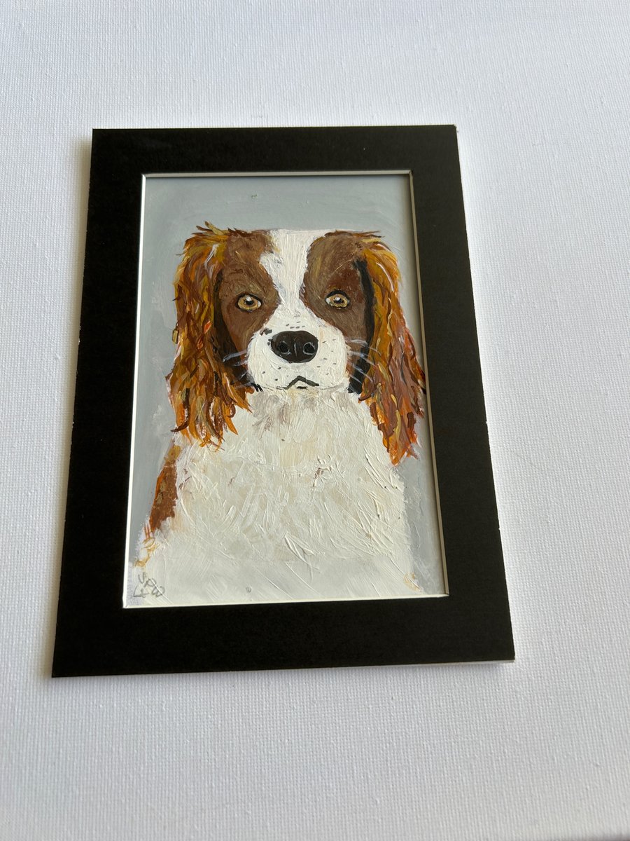 Original painting. Portrait of a spaniel. 5x7" pet portrait 