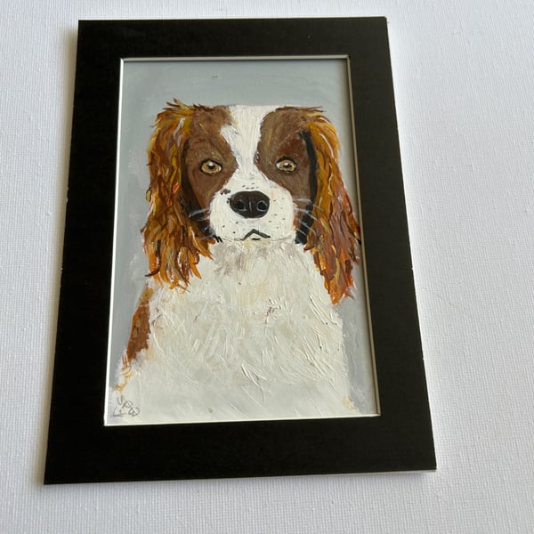 Original painting. Portrait of a spaniel. 5x7" 
