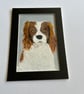 Original painting. Portrait of a spaniel. 5x7" 