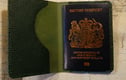 Passport holder / Journal 