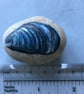 Shell painted pebble - Image 4