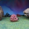 High'n'Over Baby Hedgehog 'Hesta' OOAK Sculpt by Ann Galvin Gnome Village