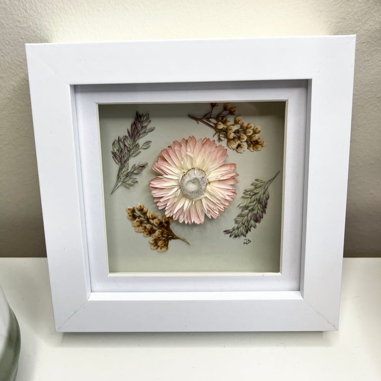 Real Pressed and Dried Strawflower, Framed Art, Mother’s Day, birthday gift