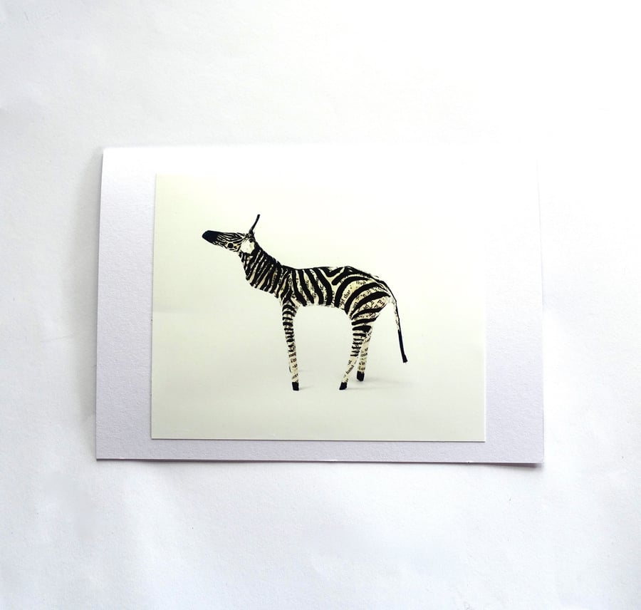 Zebra Zoo Card - SALE ITEM READY TO SHIP
