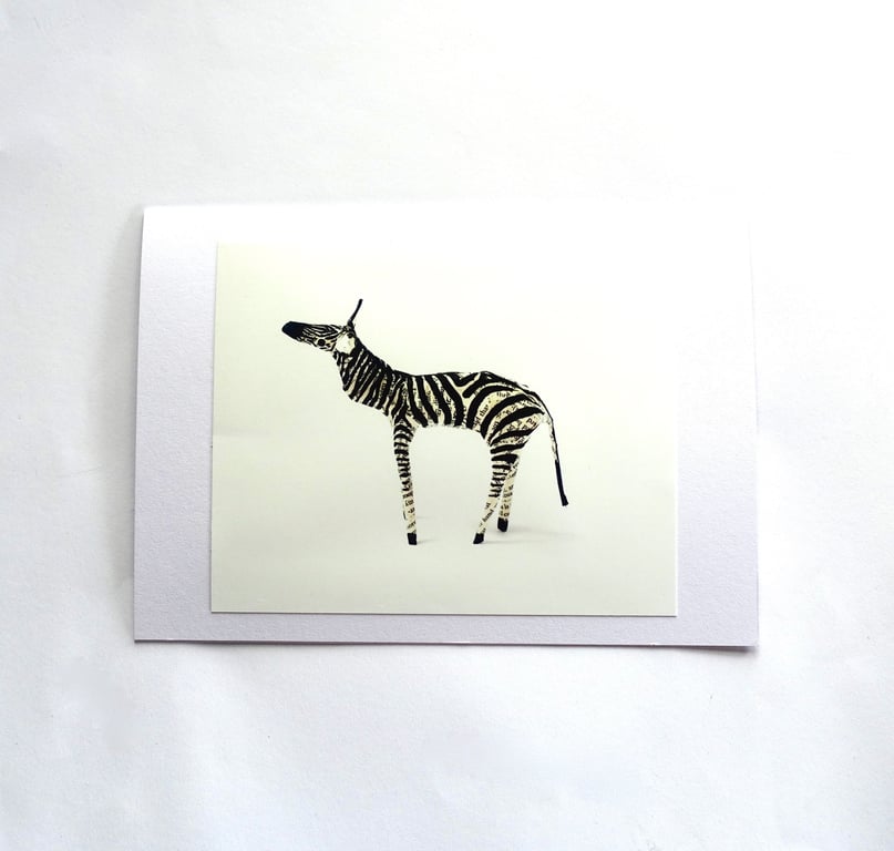 Zebra Zoo Card - SALE ITEM READY TO SHIP