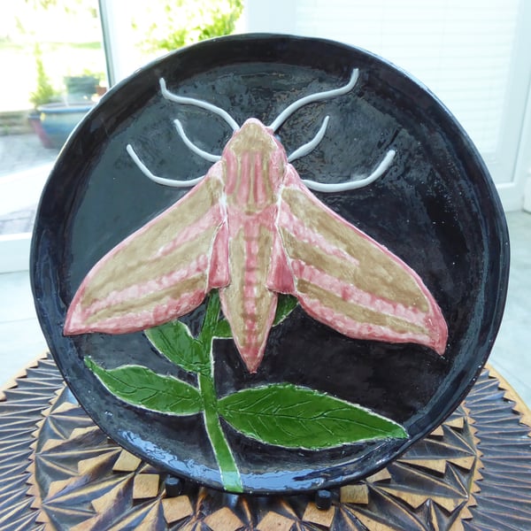 Elephant Hawk Moth Ceramic Plate - Hand Sculpted - by Jacqueline Talbot Designs