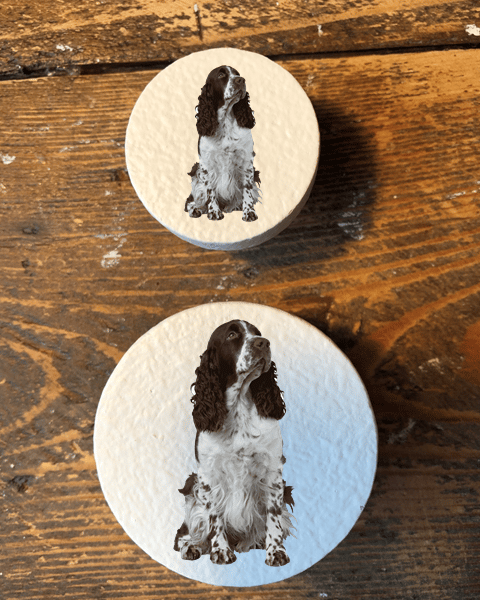 Handmade Spaniel dog pine door knobs wardrobe drawer handles decoupaged 