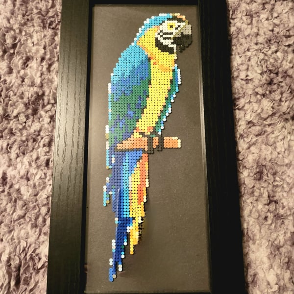 Hama bead Blue Macaw framed wall picture 