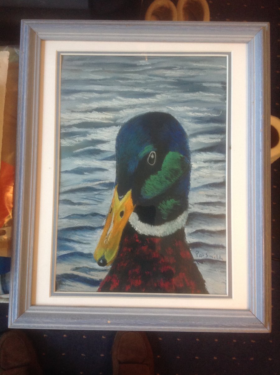 Mallard Head, Original Pastel Painting, Framed 