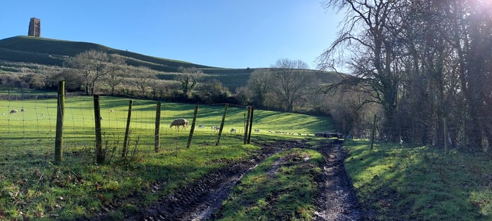 Original Glastonbury