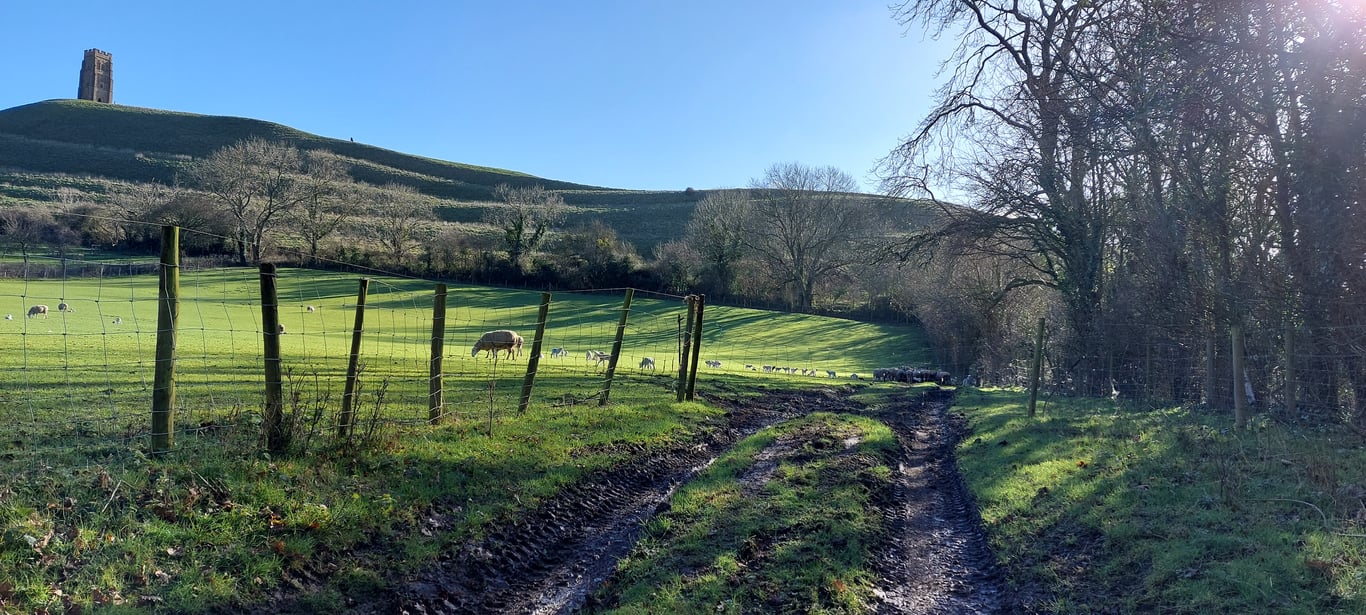 Original Glastonbury