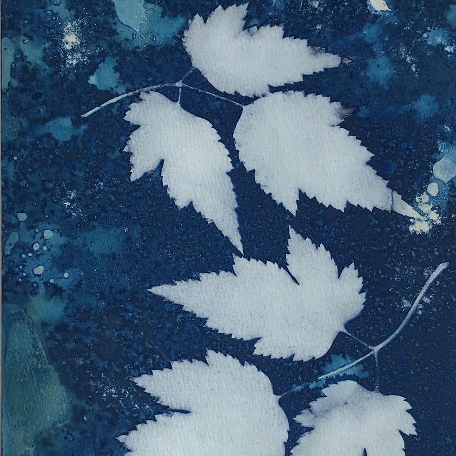 Original Photogram- Japanese Anemone leaves make lovely Botanical Art 