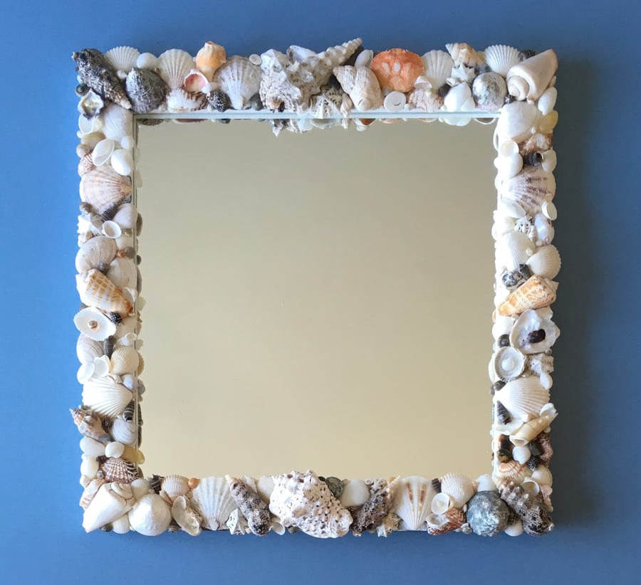 Crab Shell Mirror 