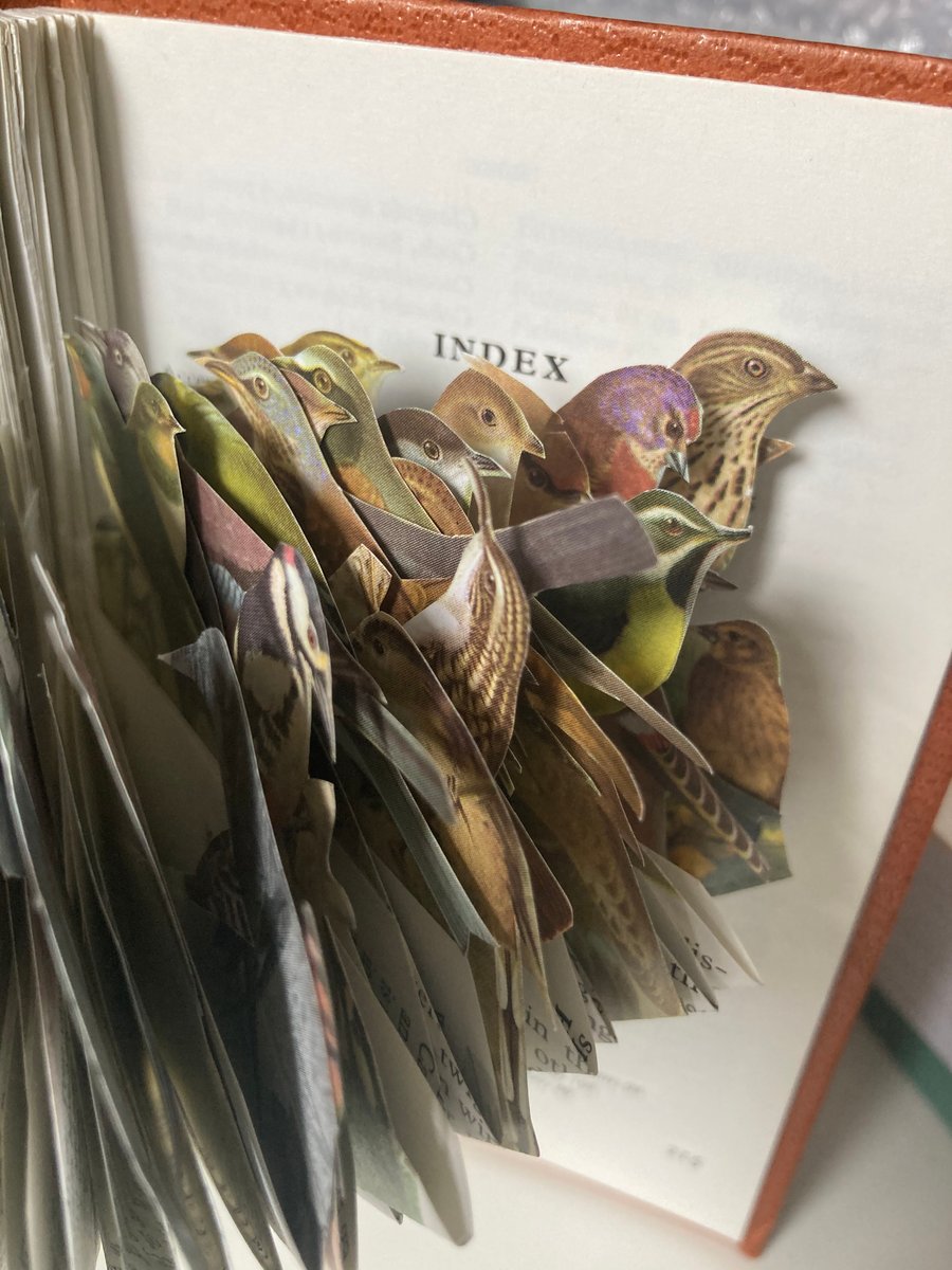 Observer Bird Book sculpture