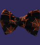 Halloween dog spider web bow