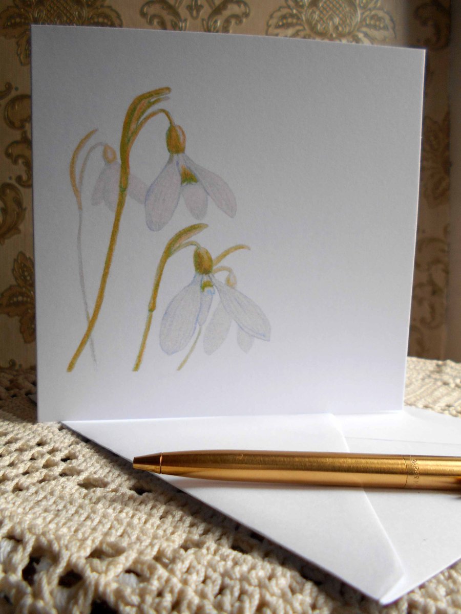 Pack of 4 Assorted Handdrawn Snowdrops Greeting Cards - 2 Designs