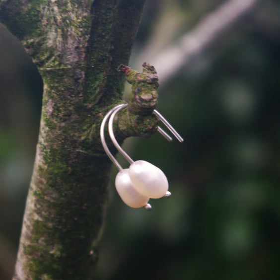   Freshwater Pearl Earrings