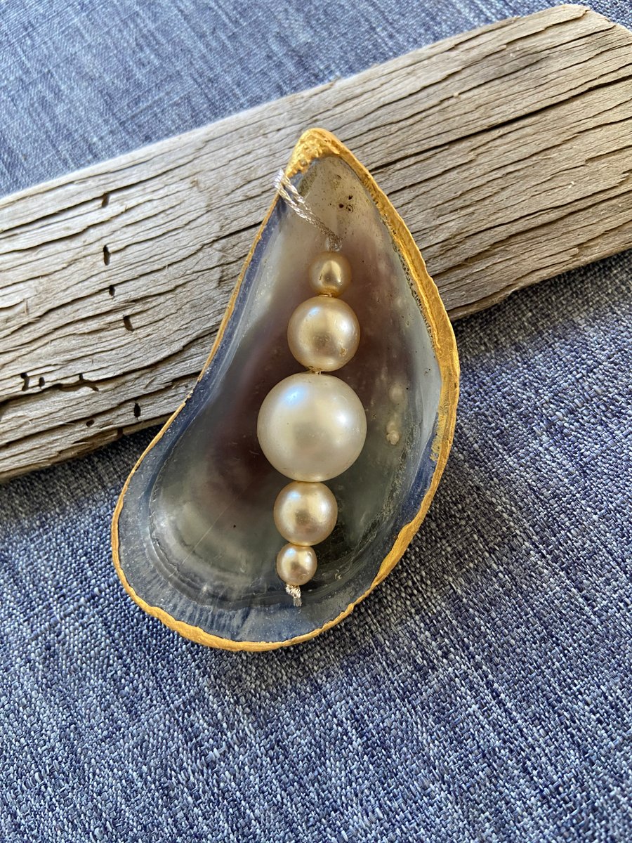 Gold edged hand painted mussel shell with pearl effect beads, hanger.