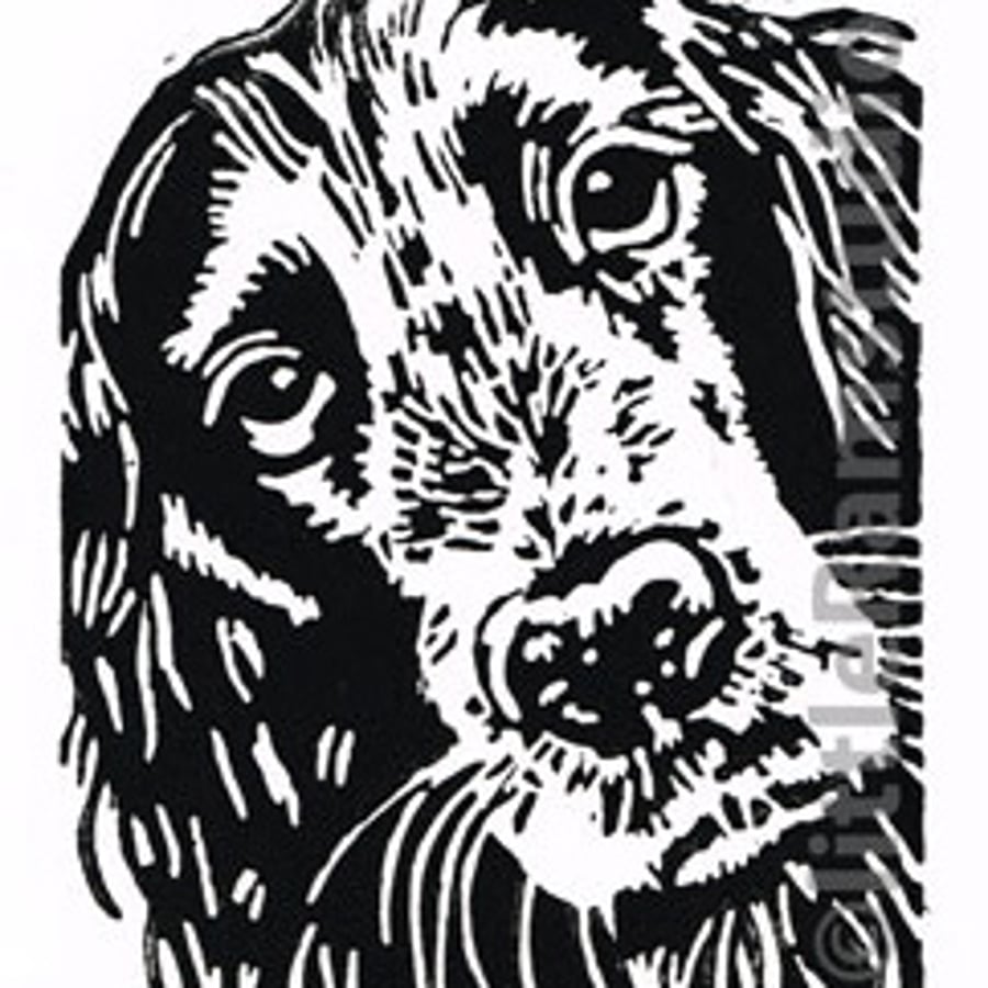 Cocker Spaniel Dog - Original Hand Pulled Linocut Print