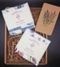 A Little Box of Calm - Aromatherapy Botanical Wax Melts for Relaxation