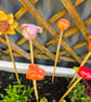 Cane Tops - Image 1