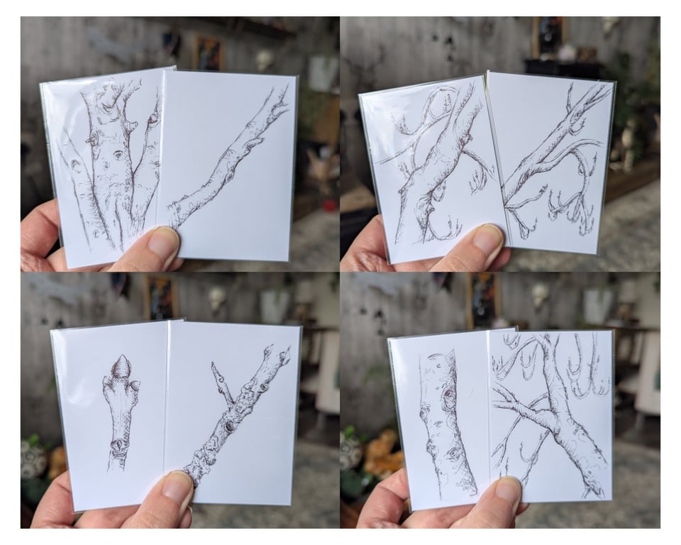 Common Ash Tree Study Sketches - Set of 8 ACEOs