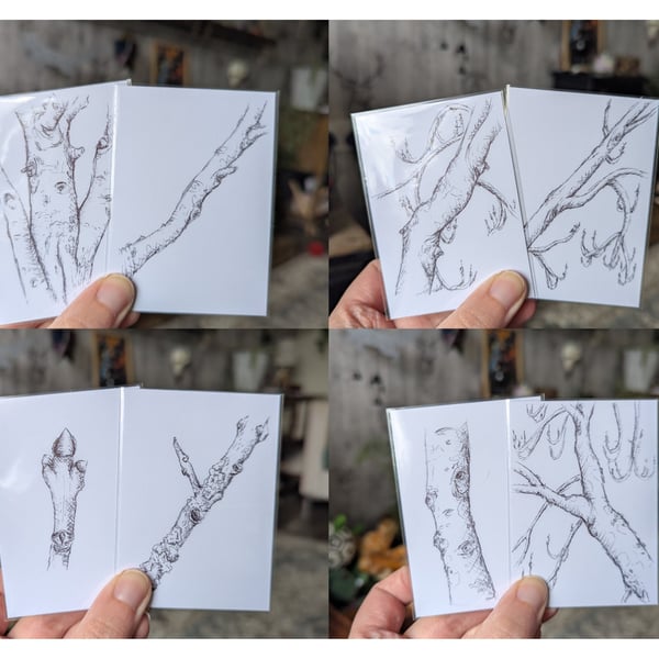 Common Ash Tree Study Sketches - Set of 8 ACEOs