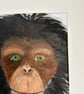 Thoughtful chimpanzee portrait in acrylics.Original painting  - Image 4