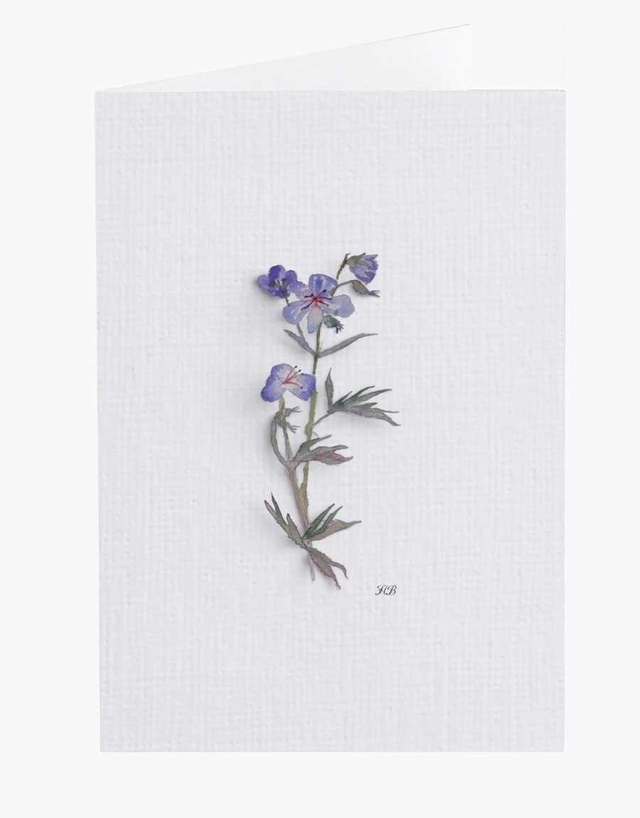 Water Colour Painted Blue Geranium Print Greeting Card