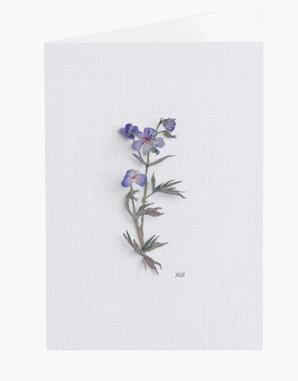 Water Colour Painted Blue Geranium Print Greeting Card