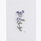 Water Colour Painted Blue Geranium Print Greeting Card