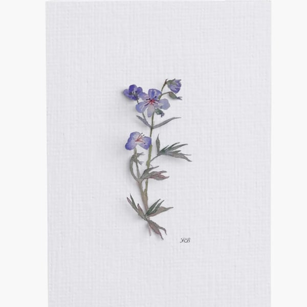 Water Colour Painted Blue Geranium Print Greeting Card