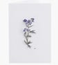 Water Colour Painted Blue Geranium Print Greeting Card