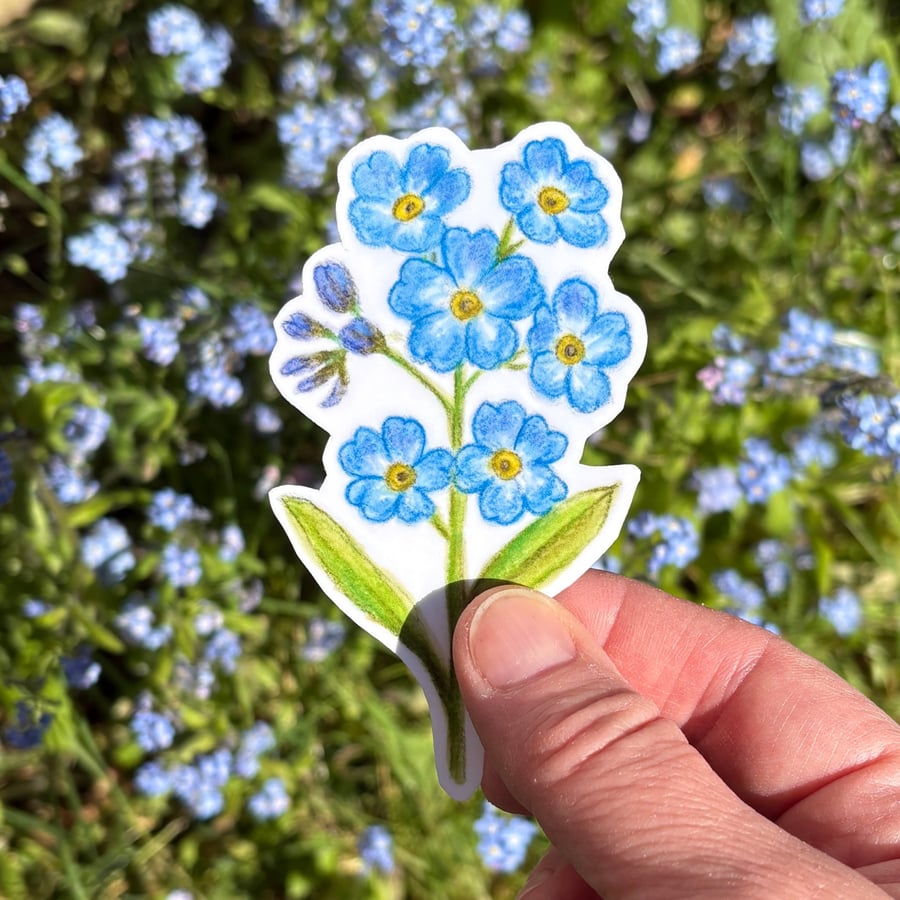Forget-Me-Not Sticker