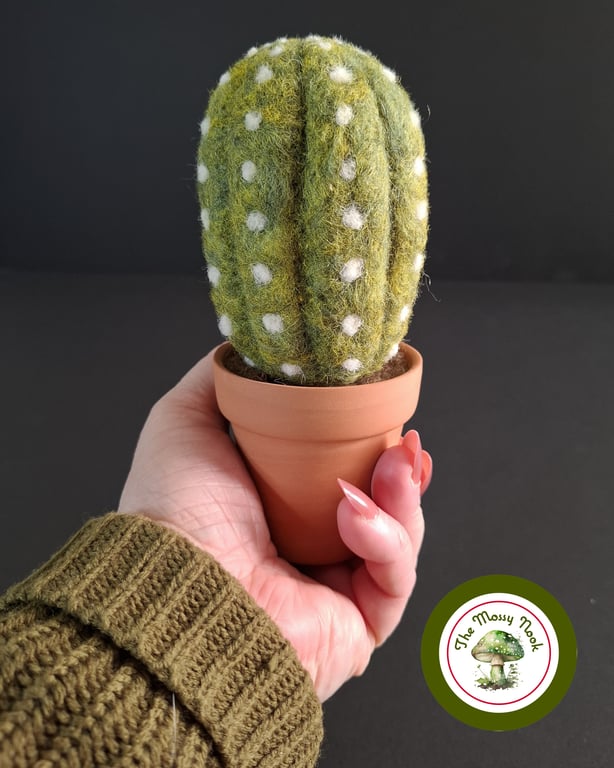 Handmade Cactus. Needle Felted with Wool Fibres. Real Terracotta Pot.