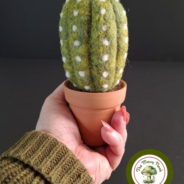 Handmade Cactus. Needle Felted with Wool Fibres. Real Terracotta Pot.