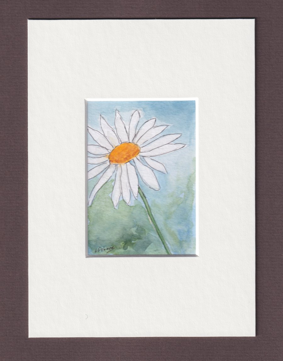 White Daisy . Original watercolour, pen and ink. Miniature. Flower. 