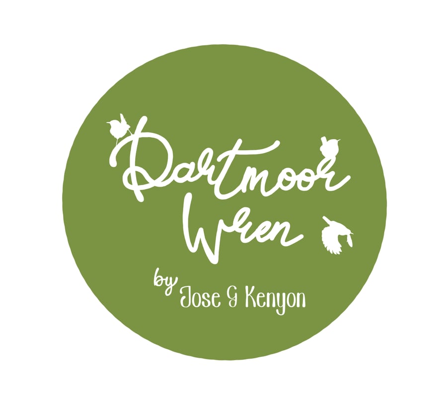 Dartmoor Wren
