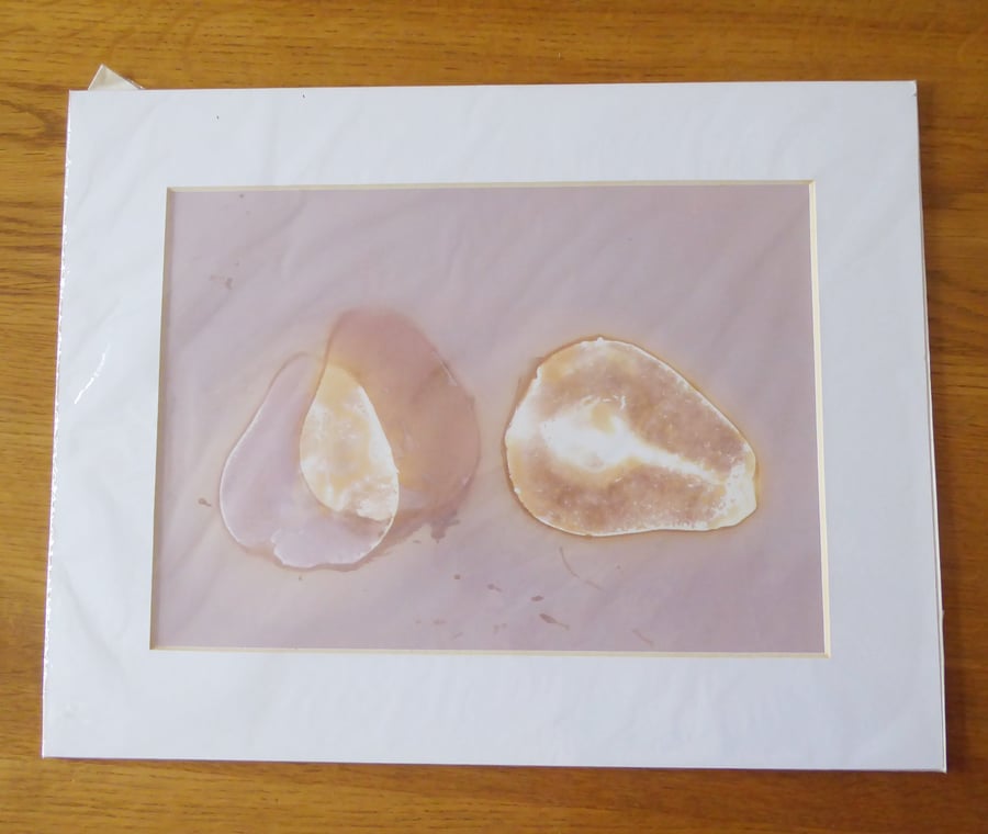 Pear Melee Print from Original Photogram - White mount to fit 11x14 inch frame