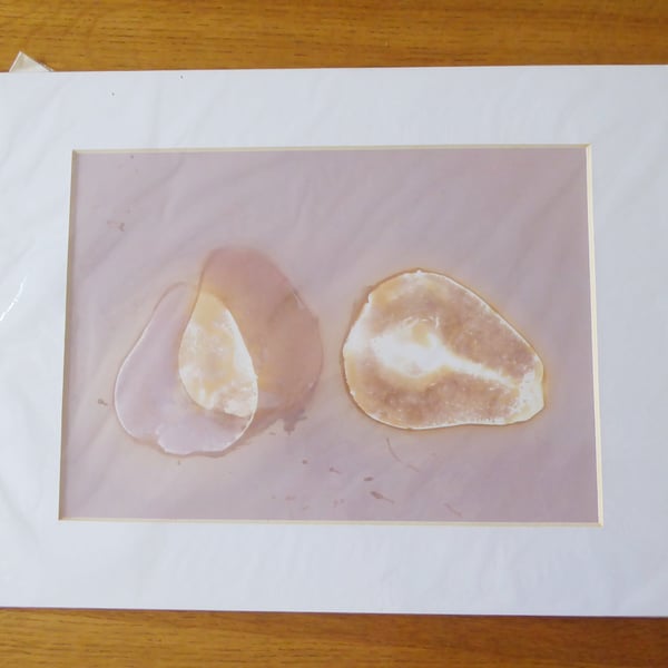 Pear Melee Print from Original Photogram - White mount to fit 11x14 inch frame