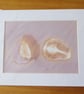 Pear Melee Print from Original Photogram - White mount to fit 11x14 inch frame