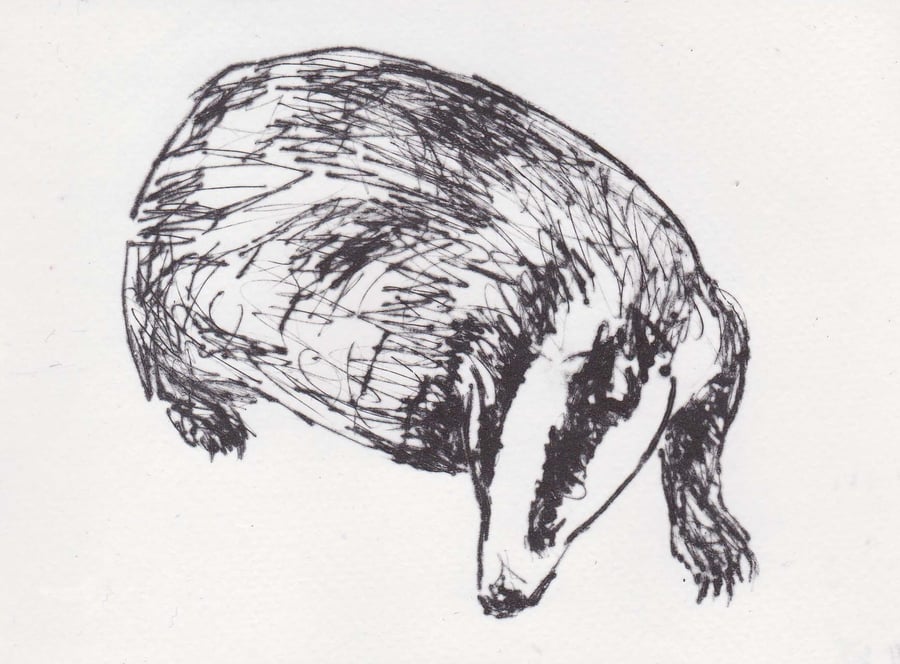 Badger Limited Edition Original Hand-Pulled Drypoint Print Animal Art