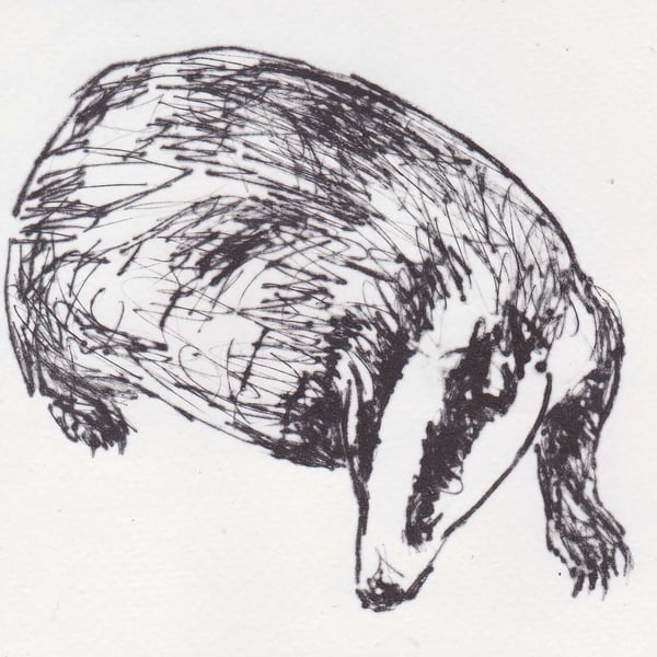 Badger Limited Edition Original Hand-Pulled Drypoint Print Animal Art