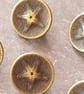 1 2" 12.7mm 20 Ligne Antique Brass Star Buttons - Image 1