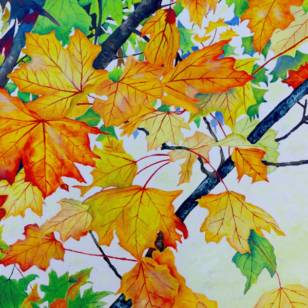 Autumn Leaves Greeting Card from Original Oil Painting