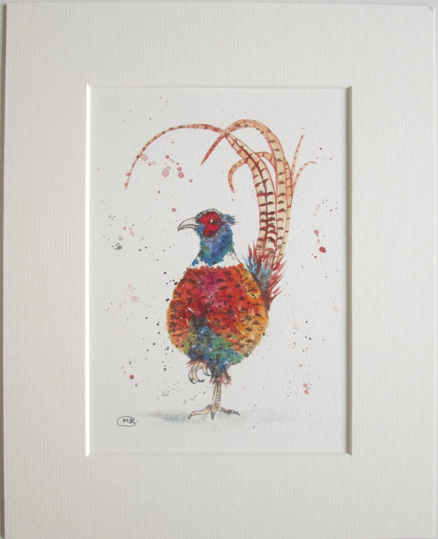 Colourful Pheasant Print. Mounted