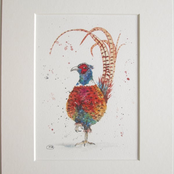 Colourful Pheasant Print. Mounted